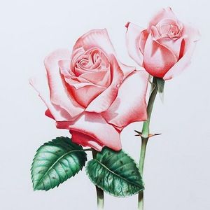 Meet your Posher, Brooklyn